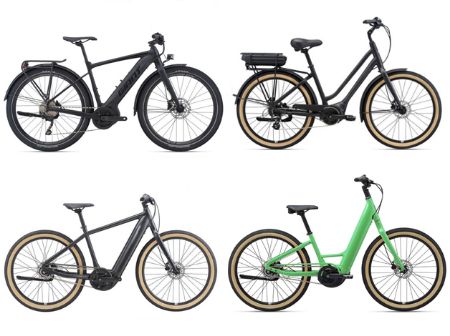 Picture for category eBike Rentals