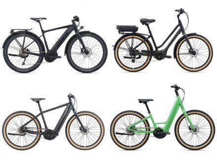 Picture of eBike Rental